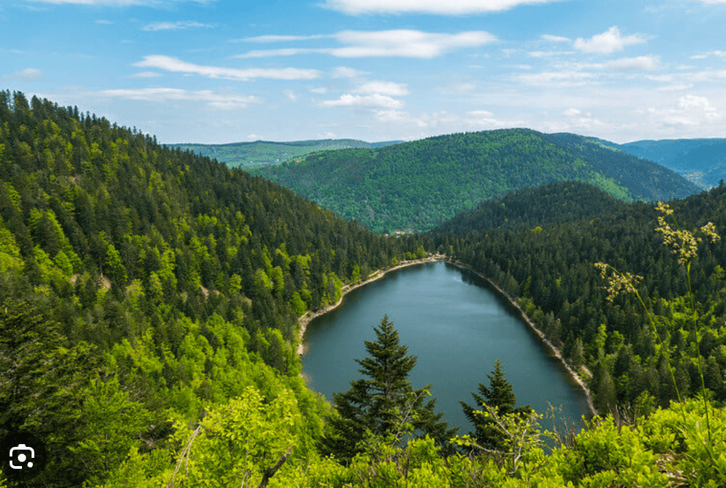 Chemin des beaux faites, Saint-Dié des Vosges 8810